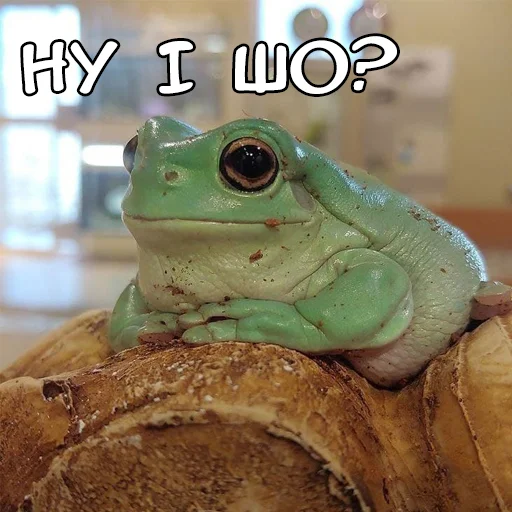 Эмодзи Файні звірятка №2