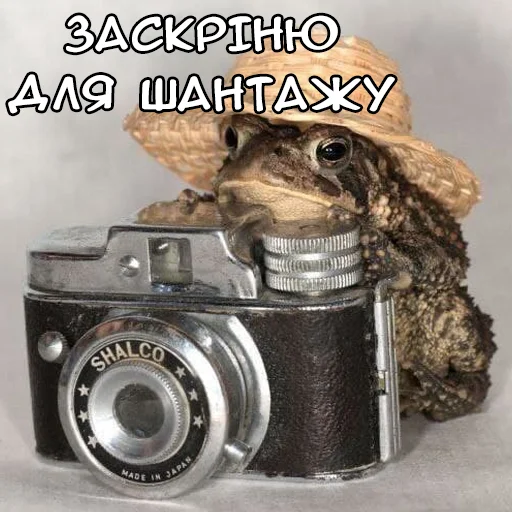 Эмодзи Файні звірятка №2