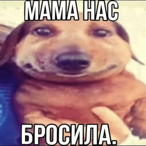 Эмодзи Memes
