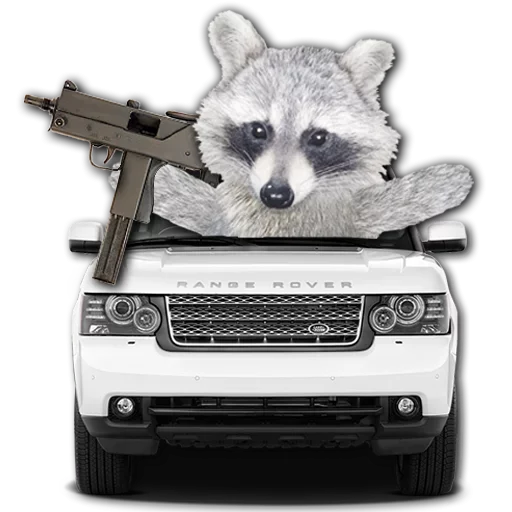 Эмодзи famous racoon