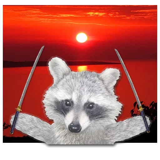 Эмодзи famous racoon