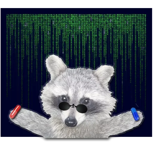 Эмодзи famous racoon