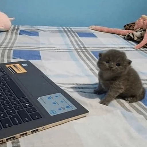 Эмодзи My fav stickers