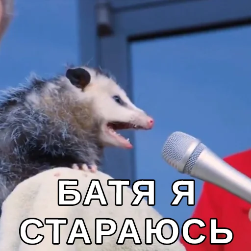 Эмодзи Файні звірятка