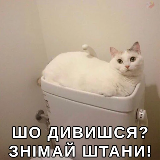 Эмодзи Файні звірятка