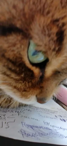 Эмодзи Феликс