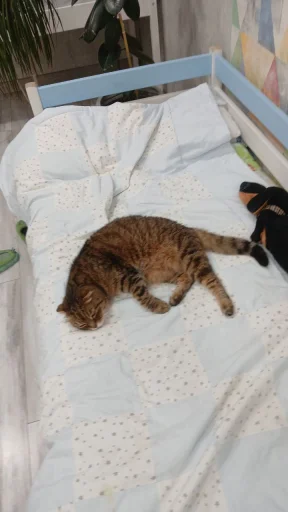 Эмодзи Феликс