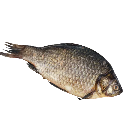 🐋