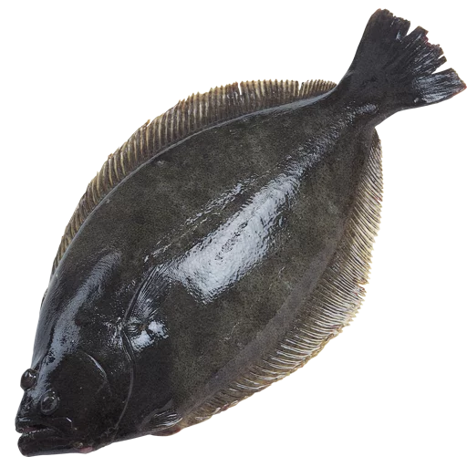 Эмодзи fish