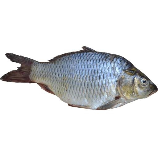 Эмодзи fish