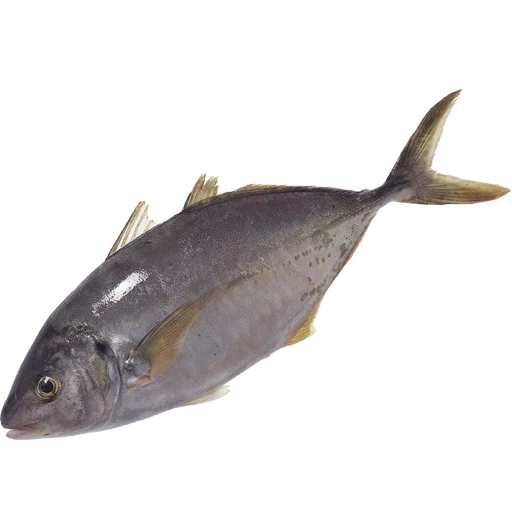 Эмодзи fish