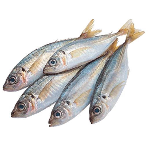 Эмодзи fish