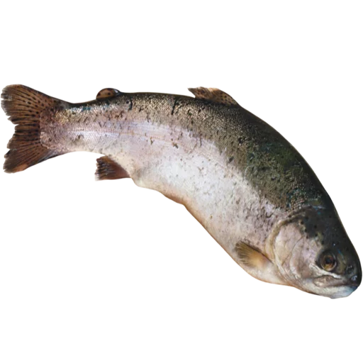 Эмодзи fish