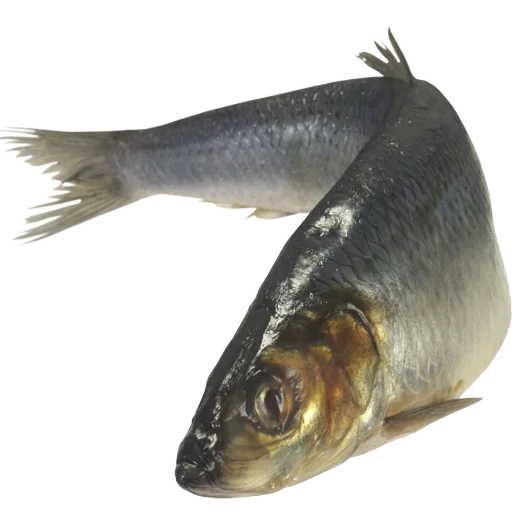 Эмодзи fish