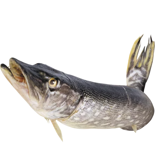 Эмодзи fish