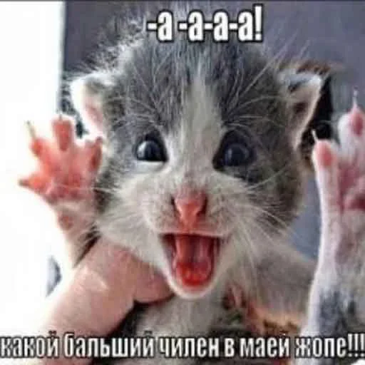 Эмодзи Flopia