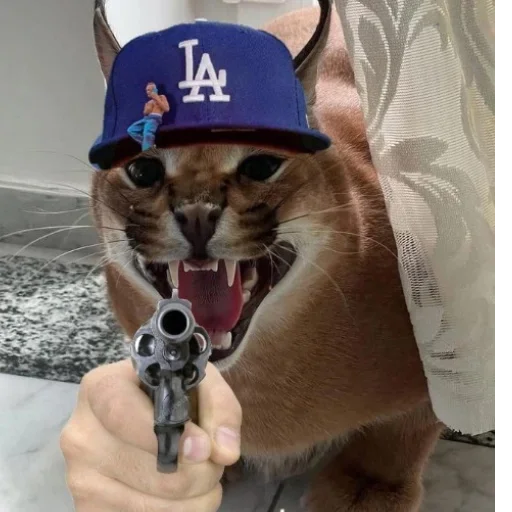 Эмодзи Floppa / Шлёпа