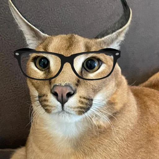 Эмодзи Floppa / Шлёпа