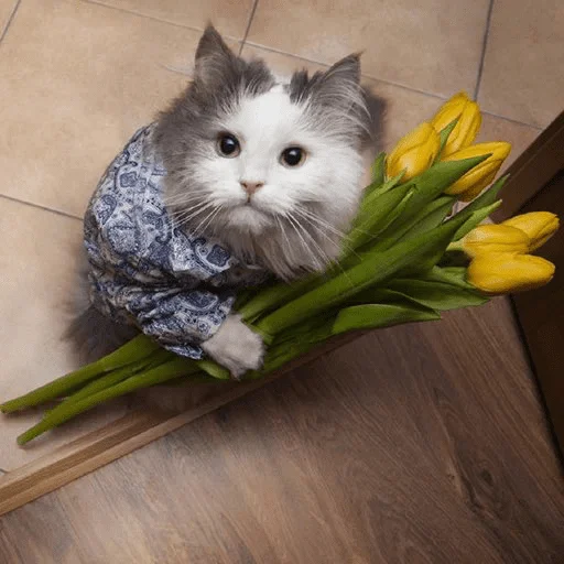 Эмодзи Flowers