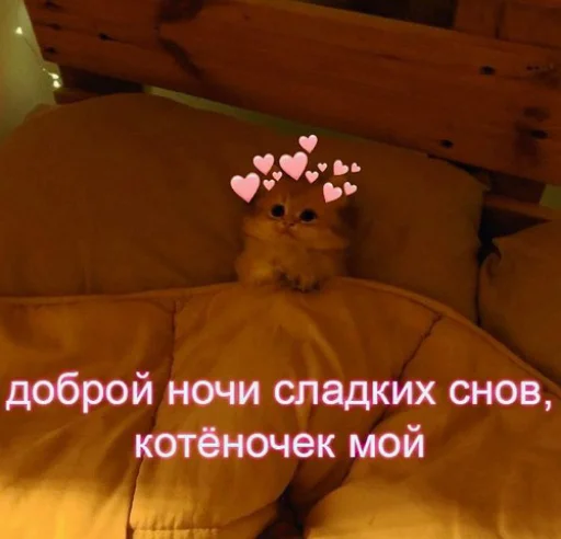 Эмодзи fluffy ambulance