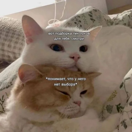 Эмодзи fluffy ambulance