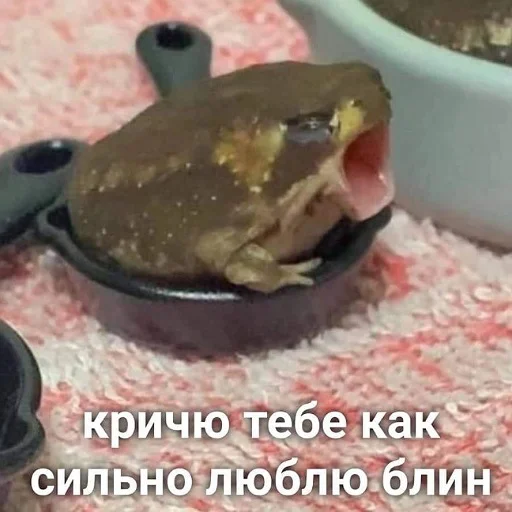 Эмодзи пушистые мемы