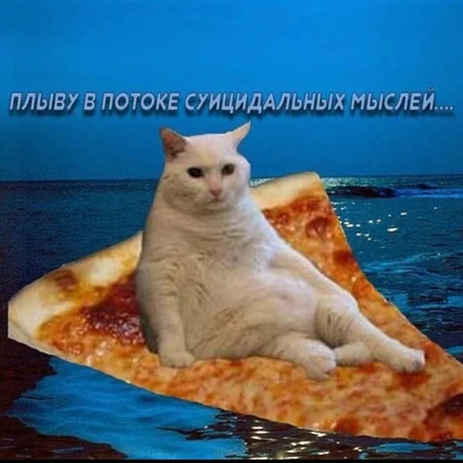 Эмодзи Вселенная котиков