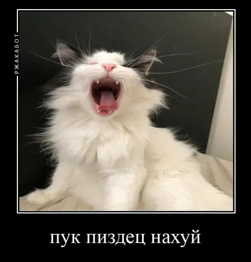 Эмодзи eblanish