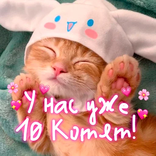 Эмодзи My kitties