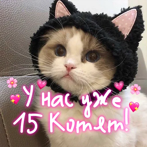 Эмодзи My kitties