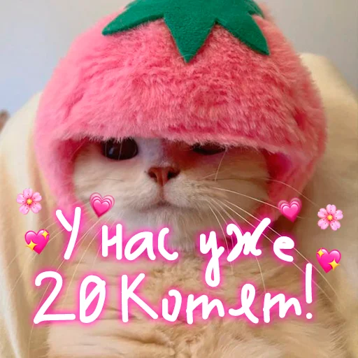 Эмодзи My kitties