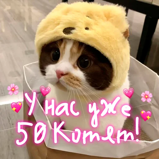 Эмодзи My kitties