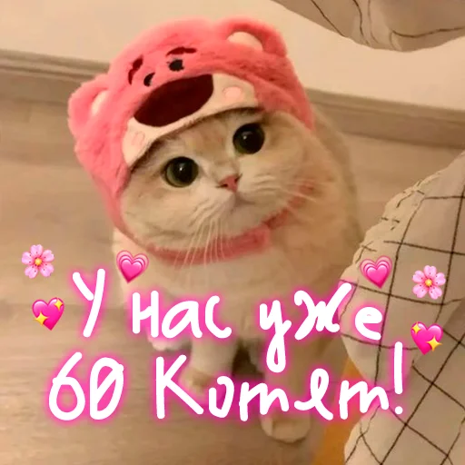 Эмодзи My kitties