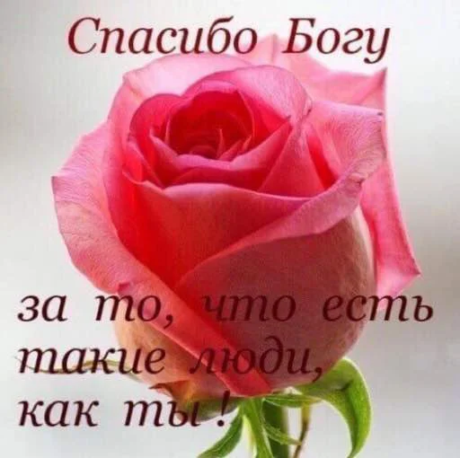Эмодзи для вас мои хорошие