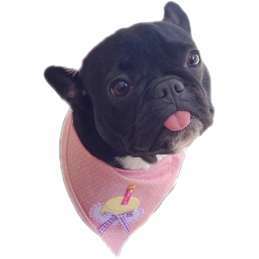 😛