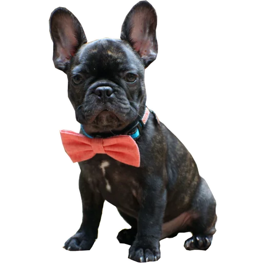 Эмодзи Frenchie