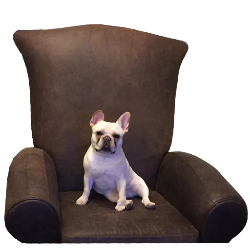 Эмодзи Frenchie