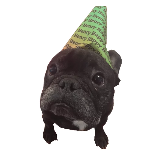 Эмодзи Frenchie