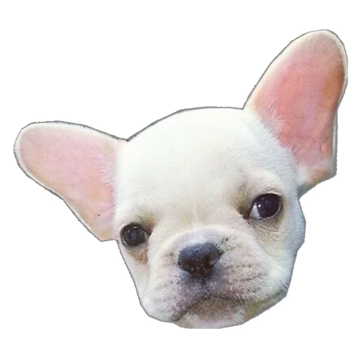 Эмодзи Frenchie
