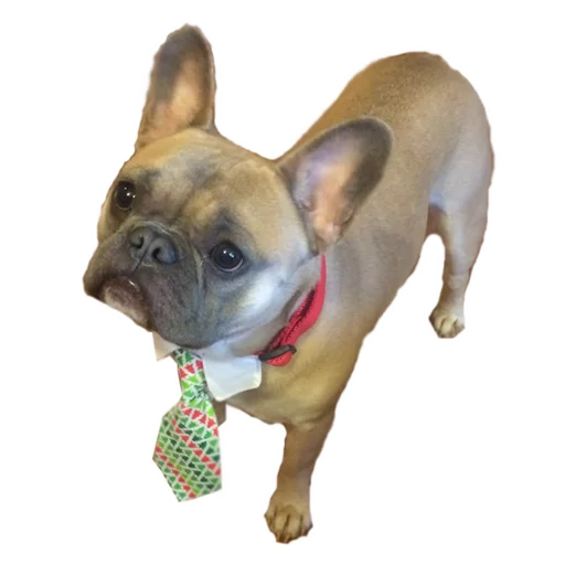 Эмодзи Frenchie