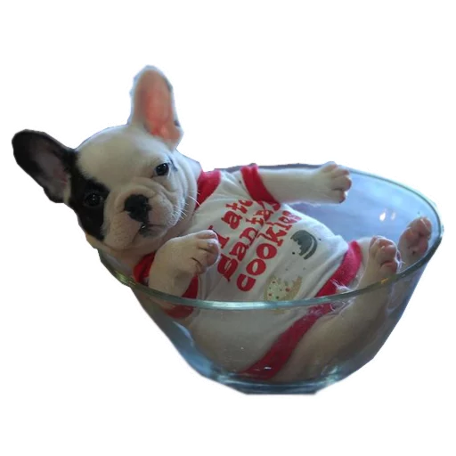 Эмодзи Frenchie