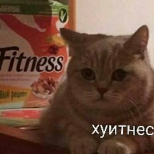 Эмодзи сонин протухший чай (bts)