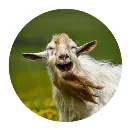Эмодзи Funny Goat