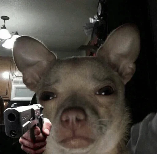 Эмодзи Funny Dogs