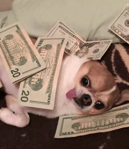 Эмодзи Funny Dogs