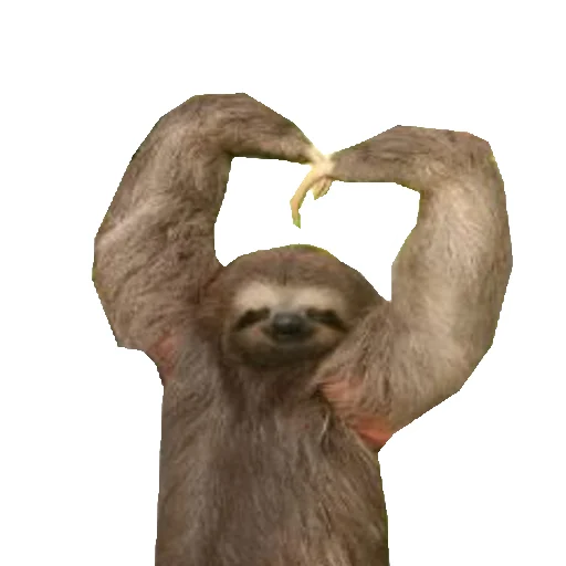 Эмодзи Fun Sloth