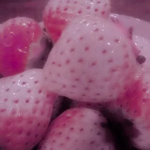 Эмодзи pardofelis