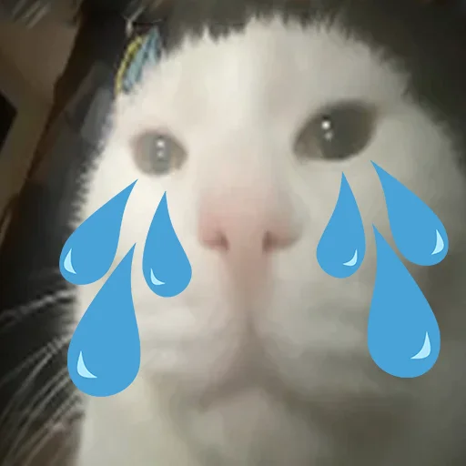 Эмодзи Cats memes