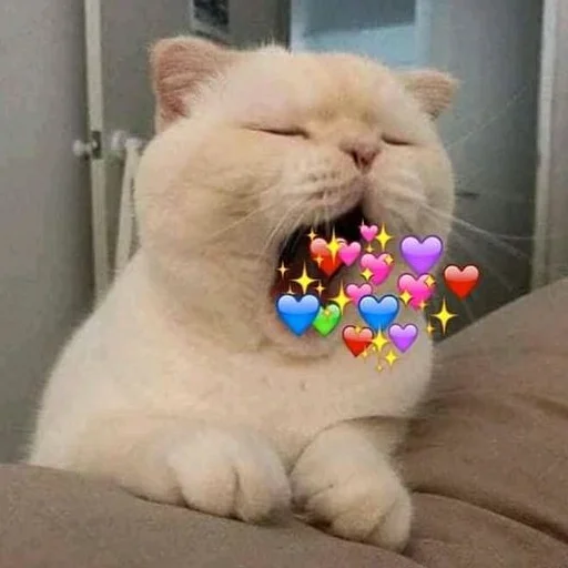 Эмодзи Meme Cat