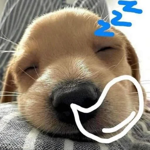 Эмодзи Dogs
